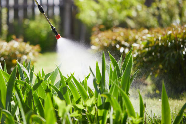 24/7 Emergency Termite Control experts in Gunnison, CO