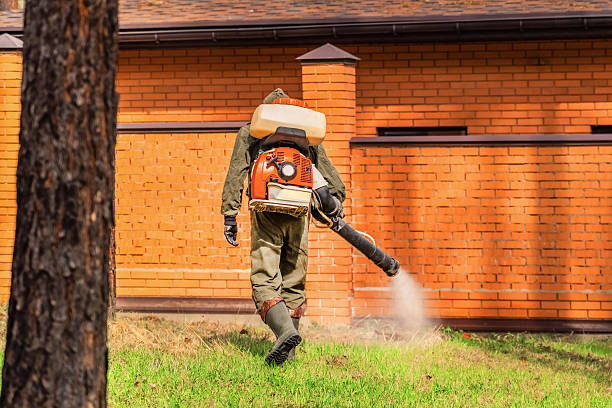 Top rated local Termite Control specialists in Gunnison, CO